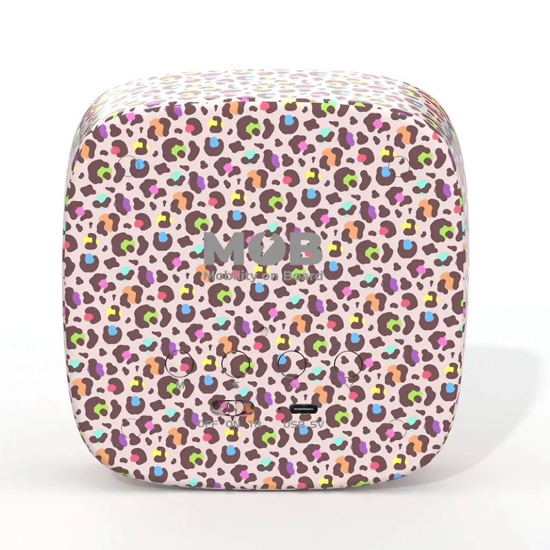 Billy Clock Raibow Leopard
