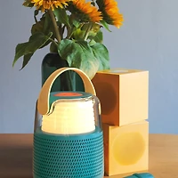 Karaoke Speaker - Blue