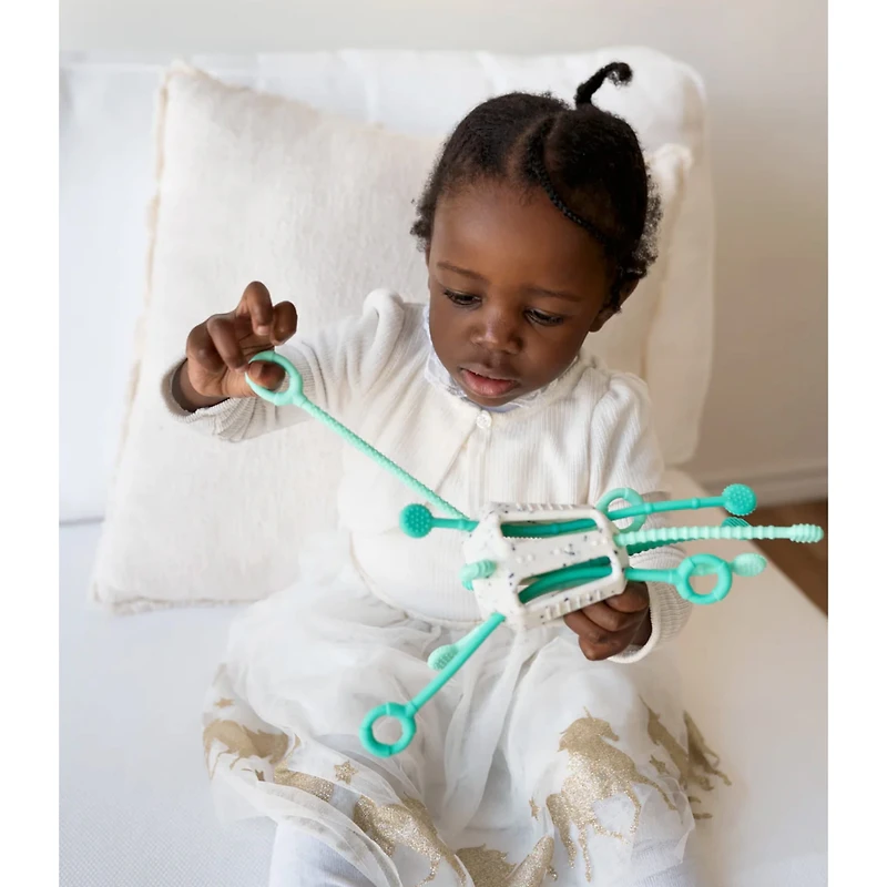 Mintee Zippee Activity Toy