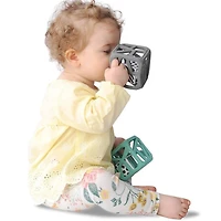 Cube De Dentition Gris