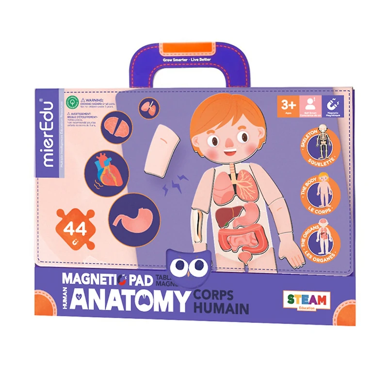 Magnetic Pad Human Anatomy