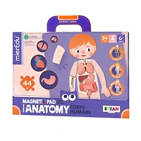 Magnetic Pad Human Anatomy