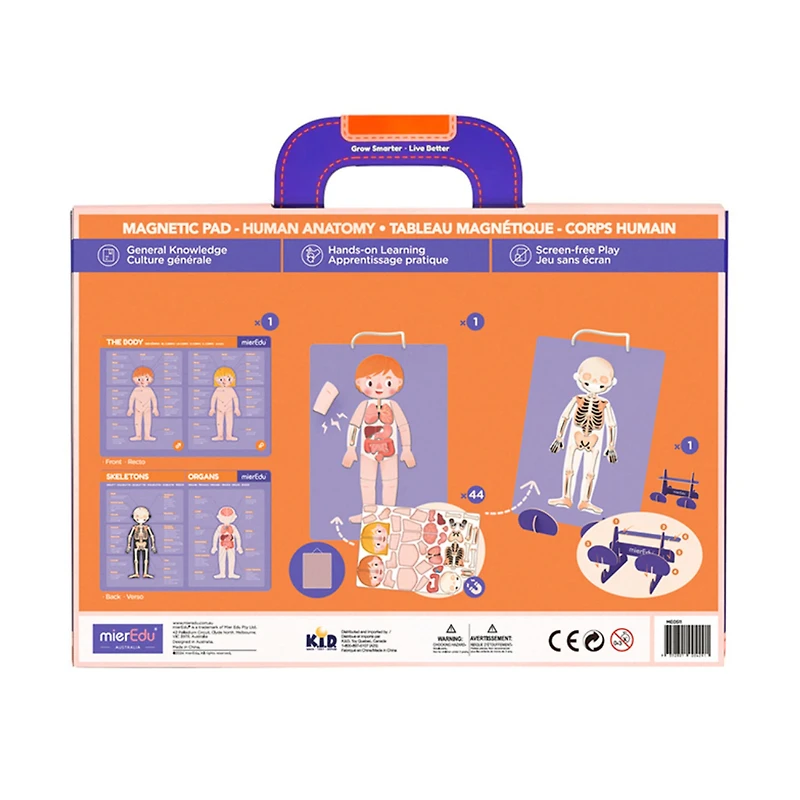 Magnetic Pad Human Anatomy
