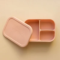 Silicone Lunch Box