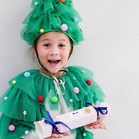 Cape Sapin De Noël