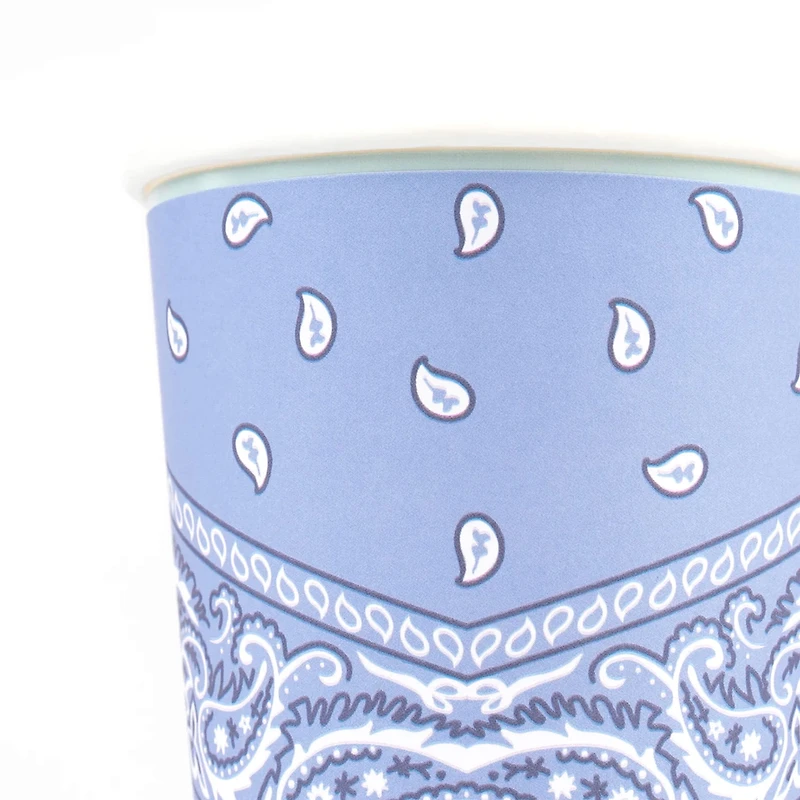 Verres de Carton (8) - Western