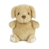Jake Petit Puppy