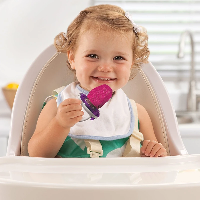 Deluxe Fresh Food Feeder - Pink/Purple