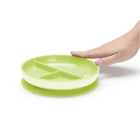Divided Suction Plate - Green
