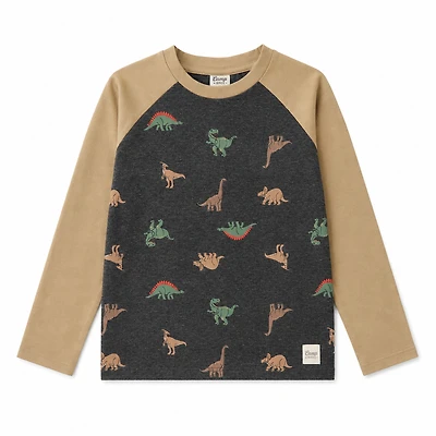 Dino Raglan T-shirt 2-8