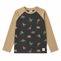 Dino Raglan T-shirt 2-8