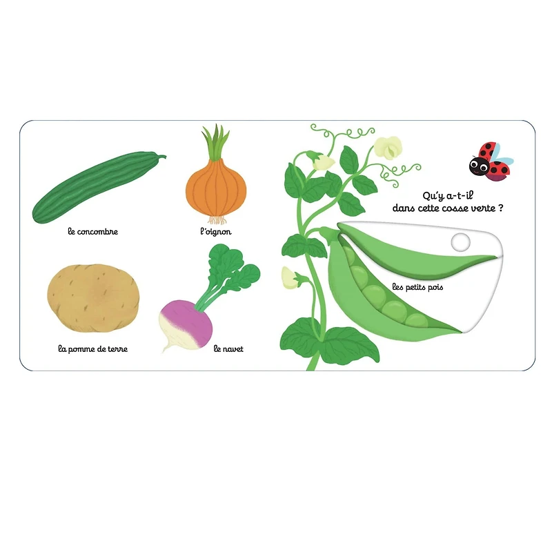 Mon Imagier des Légumes