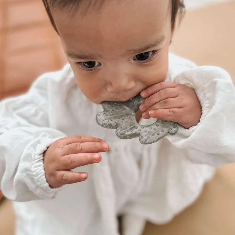 Cooling Nature Teethers Nature