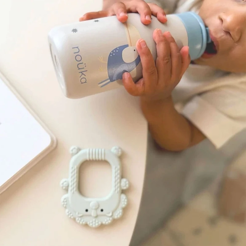 Silicone Teether - Roary The Lion
