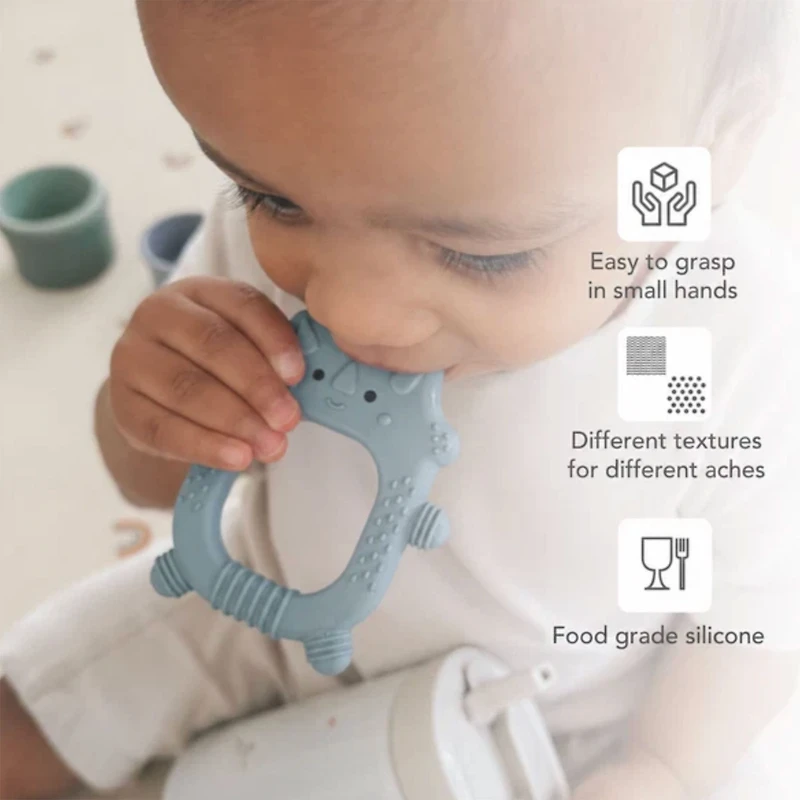 Silicone Teether - Roary The Lion