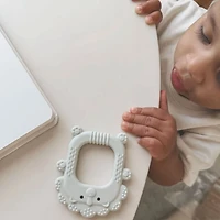 Silicone Teether - Roary The Lion