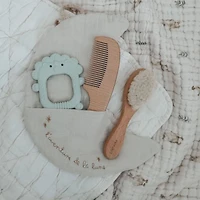Silicone Teether - Roary The Lion