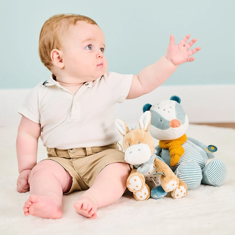 Musical Cuddly Leo the donkey 9"