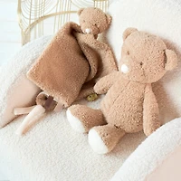 Ours Teddy