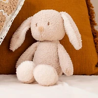 Lapin Teddy