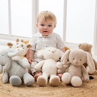 Lapin Teddy