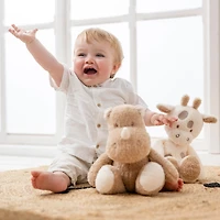 Rhinocéros Teddy