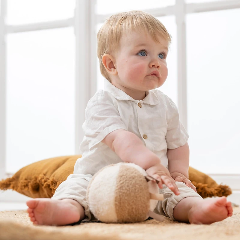 Cuddly Teddy Ball