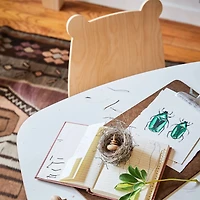 Chairs Bear Naturel/ Whte (2)