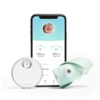 Dream Sock - Mint