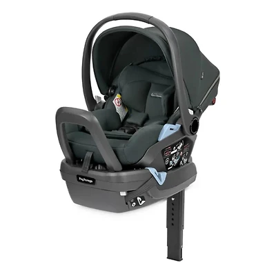 Primo Viaggio 4-35lbs Lounge Car Seat - Metal