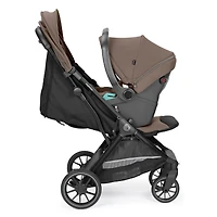 X-country Stroller - Pine Bark
