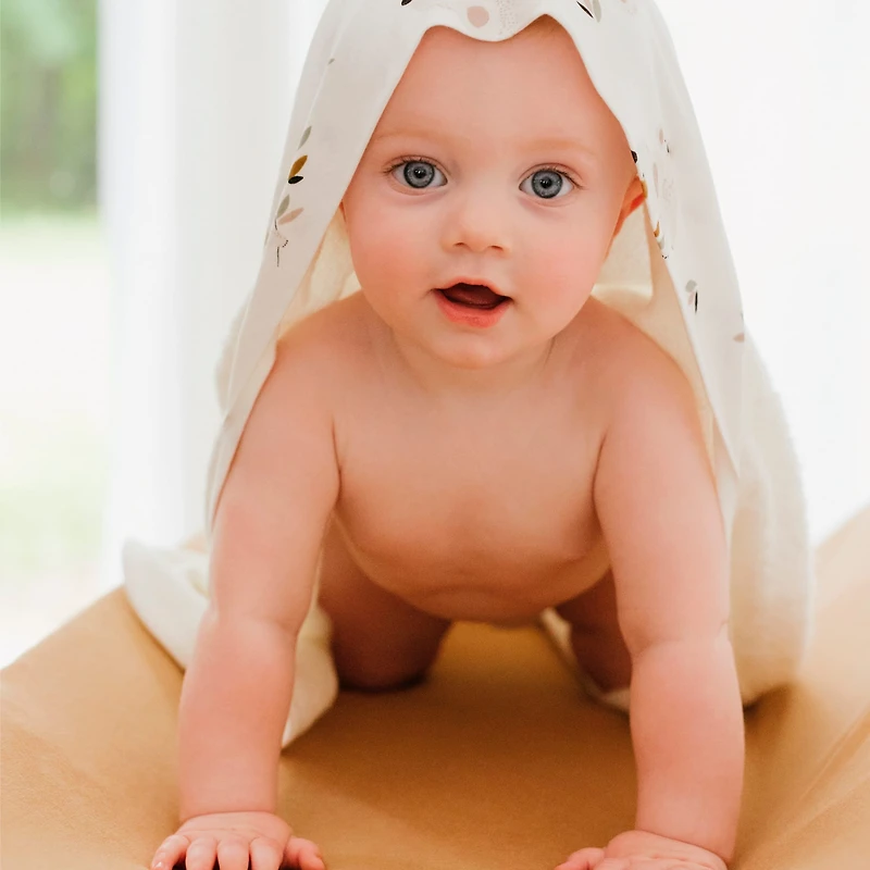Bamboo Hooded Towel - Koalas