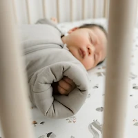 Drap Contour pour Lit de Bébé - Écureuils