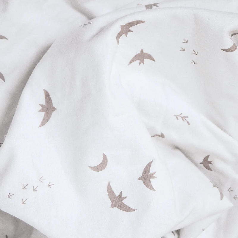 Set of 2 Flannel Blankets - Lions