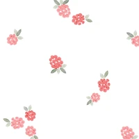 Raspberry Muslin Blanket