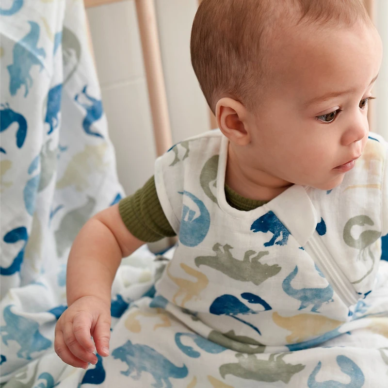 Muslin Blanket - Dinos