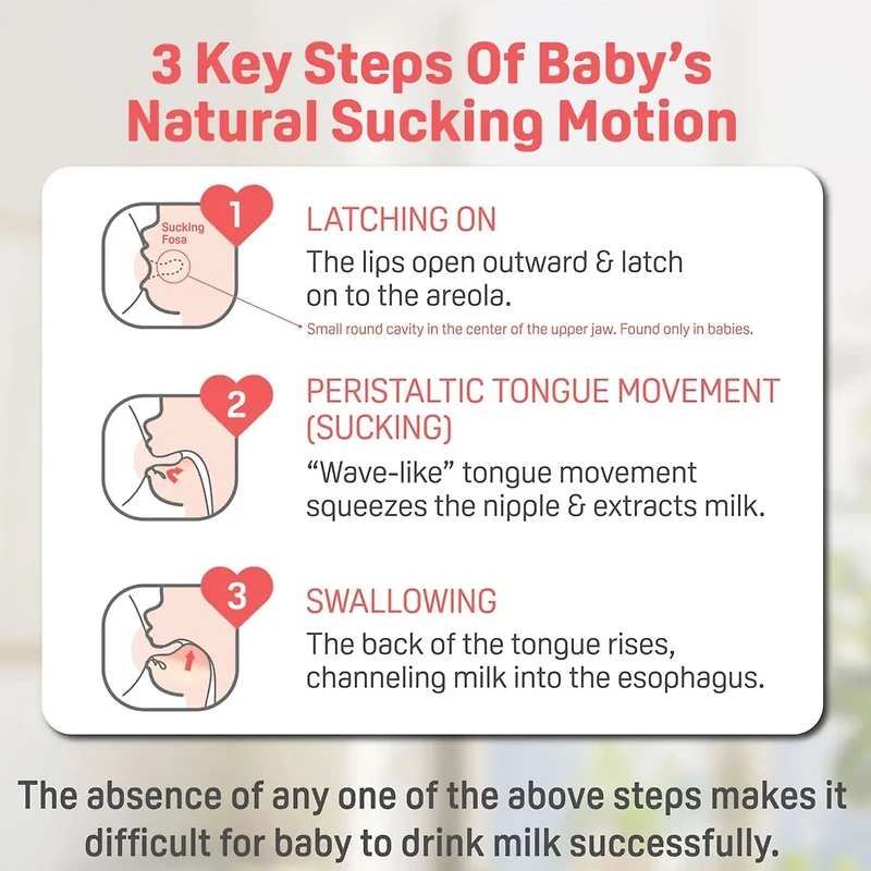 Glass Bottle Set of 3 8oz With M Nipple