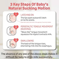 Glass Bottle Set of 3  8oz With M Nipple