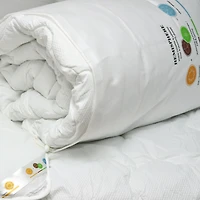 4 Seasons Twin Duvet 500g