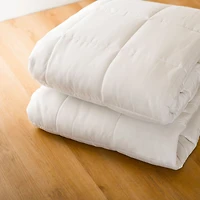 Couette Lit Simple Microfibre 300g