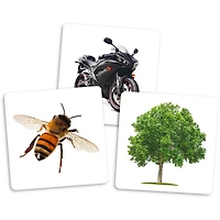 Le Dé Des Premiers Mots - Cartes Supplémentaires