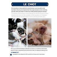 Mon Grand Animalier des Bébés