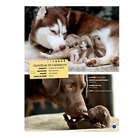 Mon Grand Animalier des Bébés