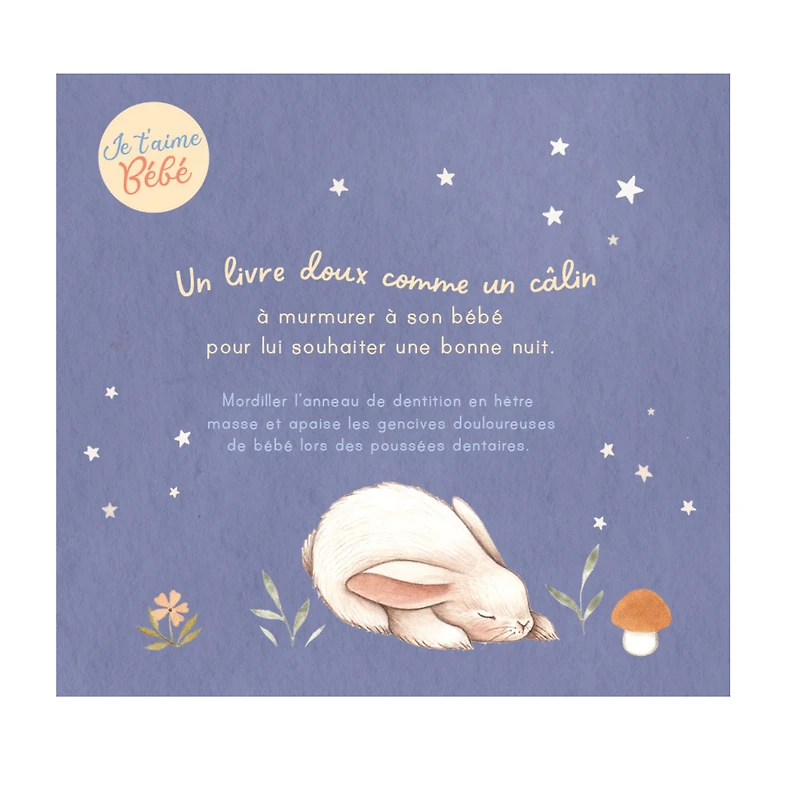 Bonne Nuit Mon Petit Bébé