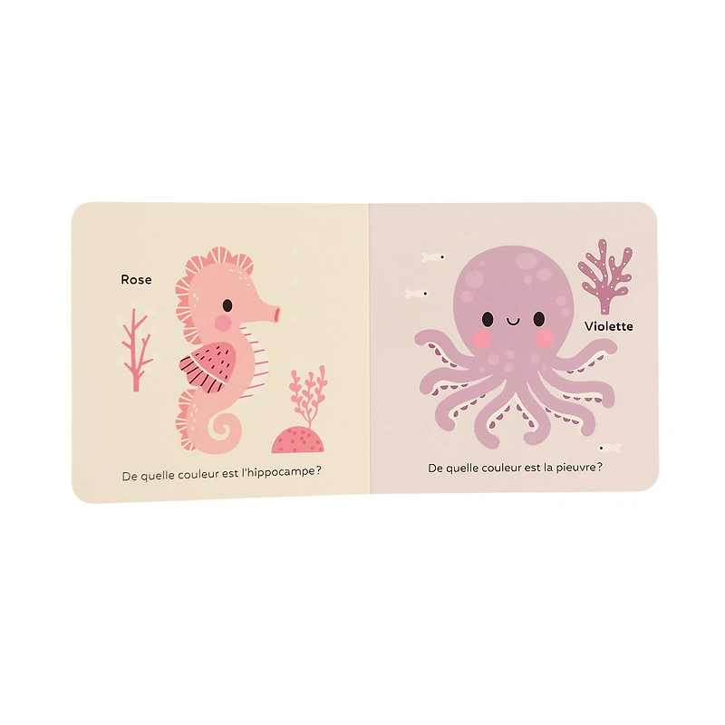 Livre Hochet Les Couleurs