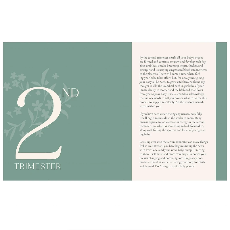 Growing Together Pregnancy Journal