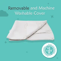 Big Kid Toddler Pillow