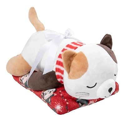 Ens Peluche Couverture Chat