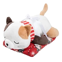 Cat Plush and Blanket set 