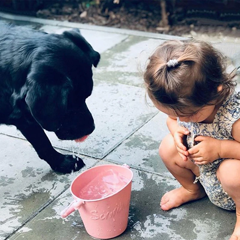 Bucket and Spade - Rust